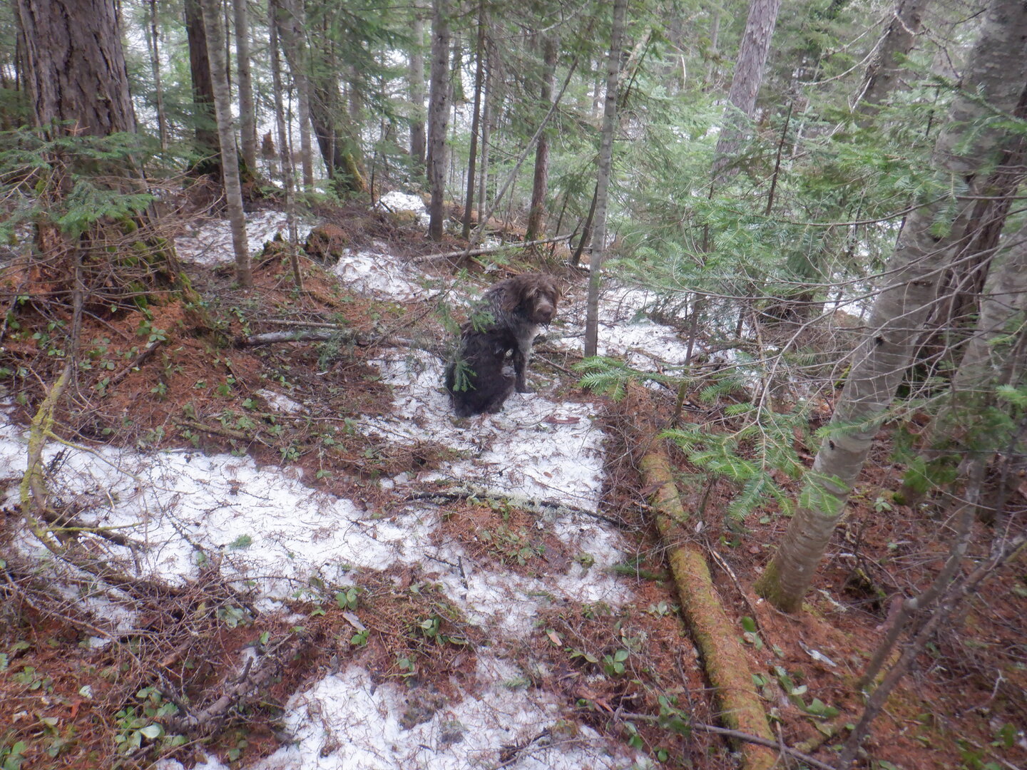 DSCF9573.JPG