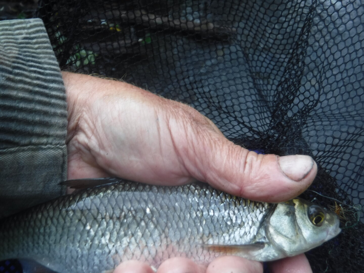 DSCF9577.JPG