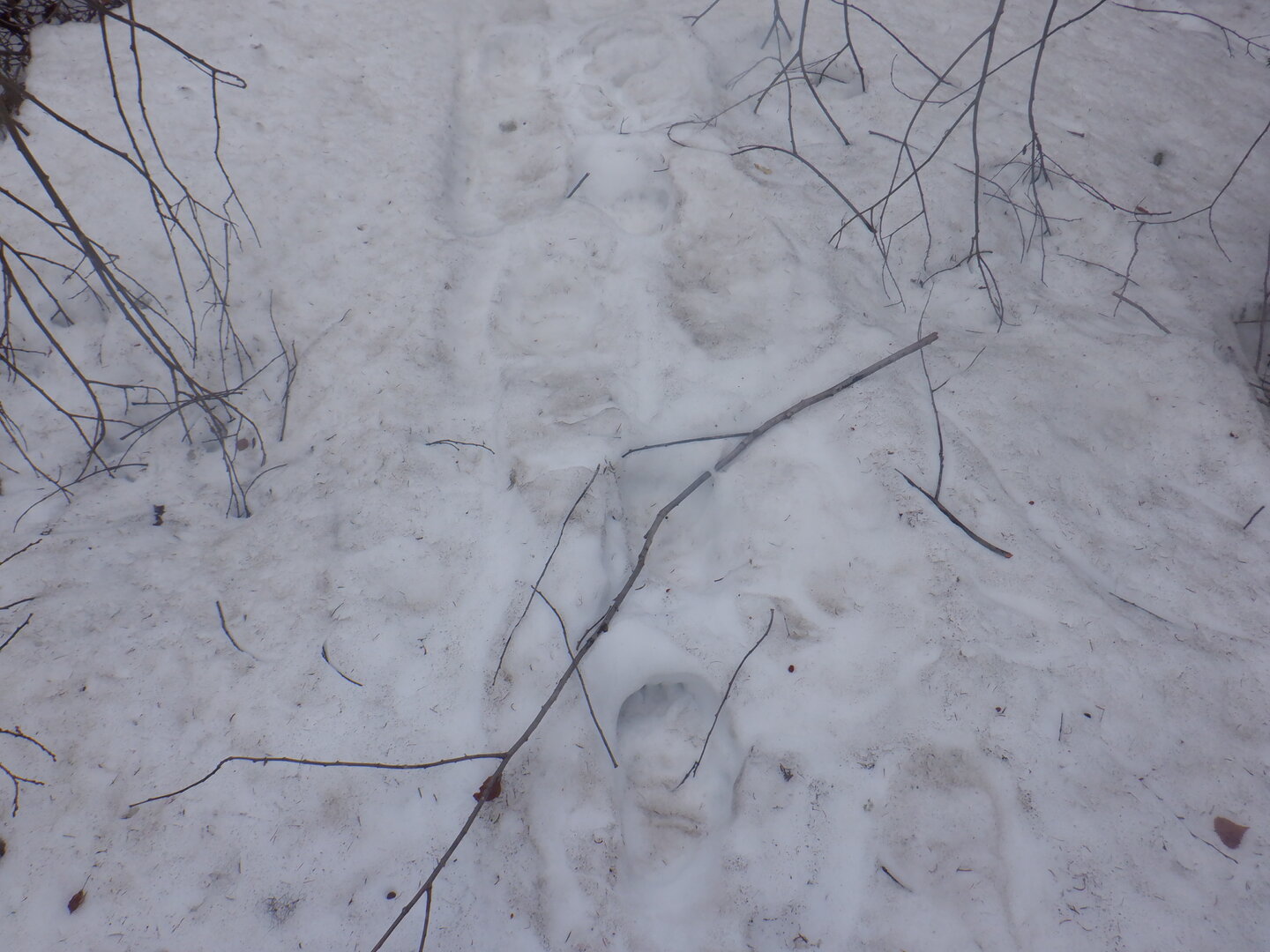 DSCF9578.JPG