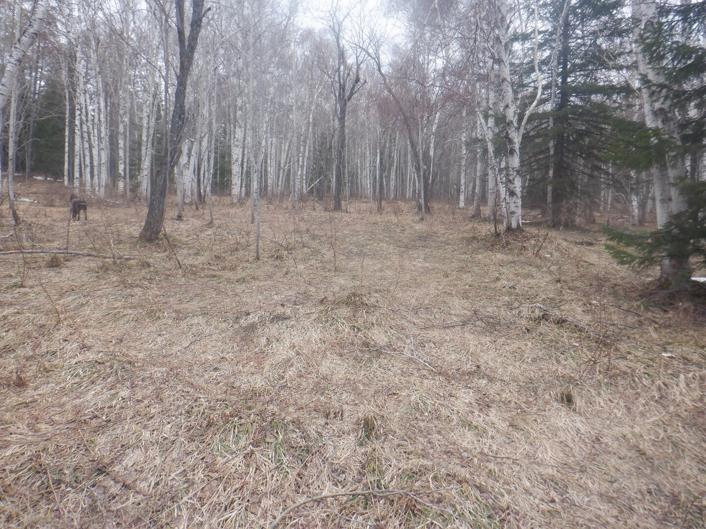 DSCF9579.JPG