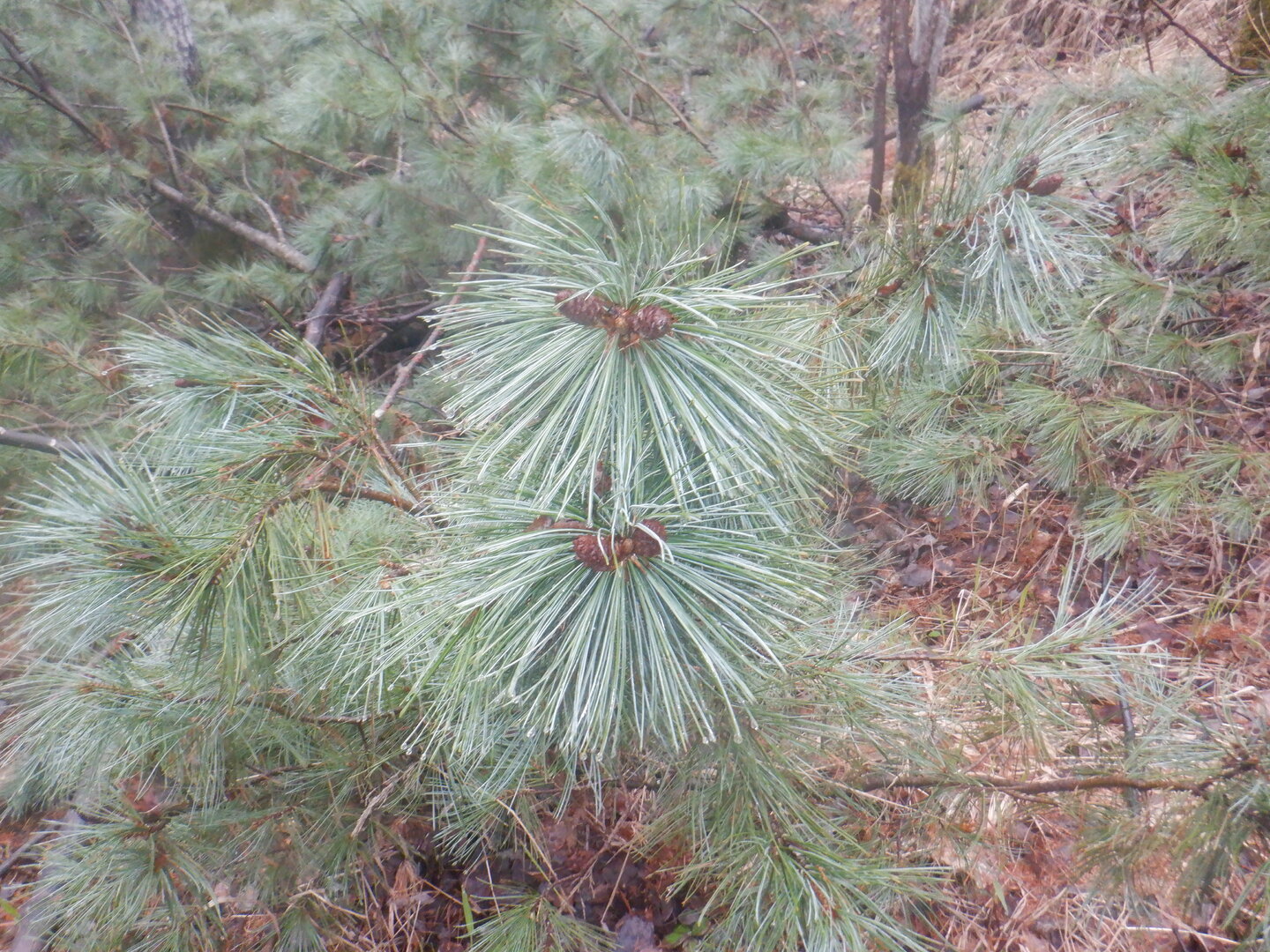 DSCF9583.JPG