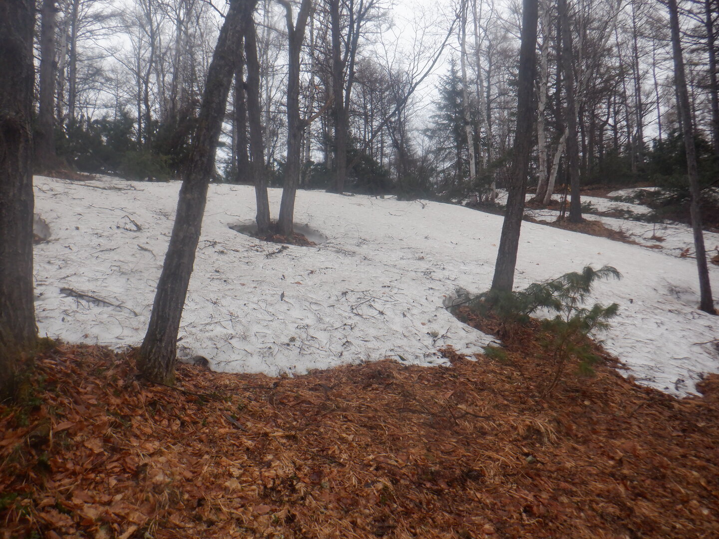DSCF9586.JPG