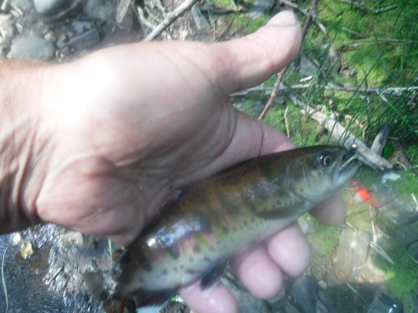 DSCF9587.JPG