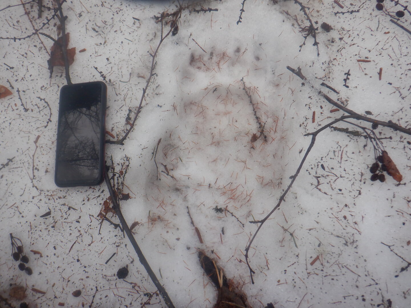 DSCF9588.JPG