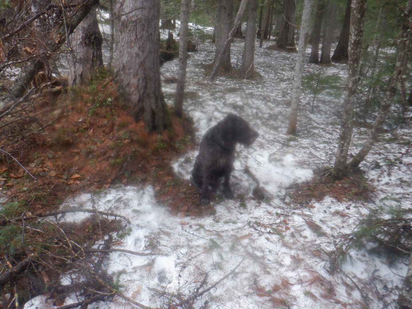 DSCF9592.JPG