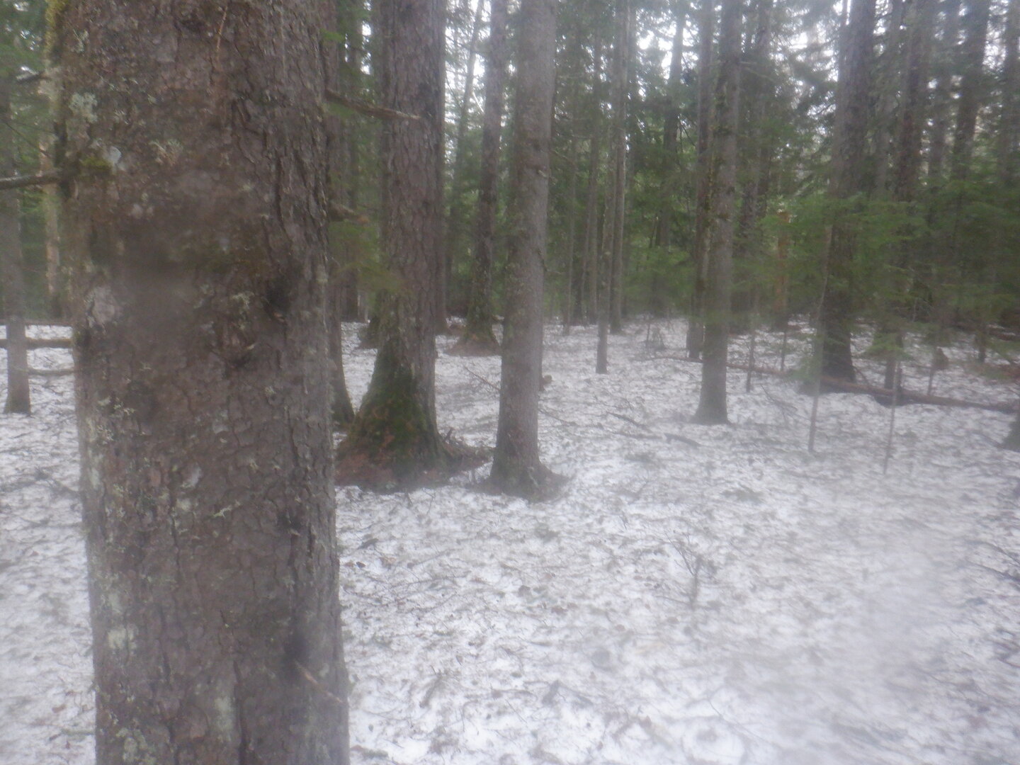 DSCF9594.JPG