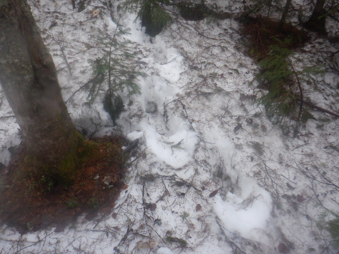 DSCF9595.JPG