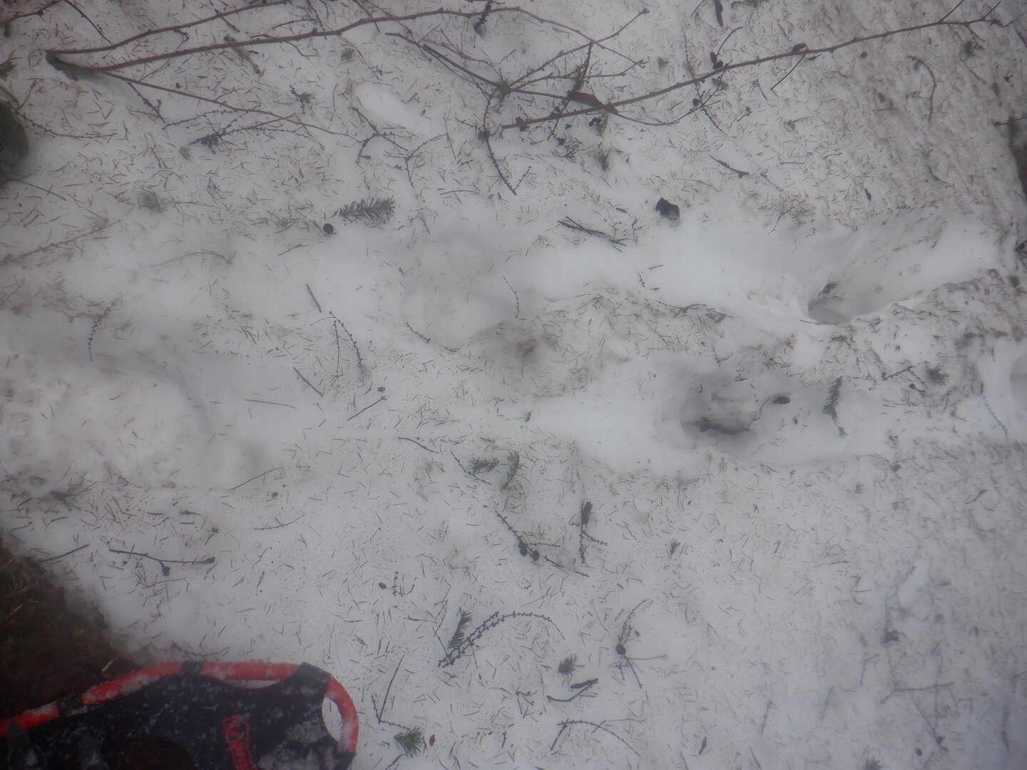 DSCF9597.JPG