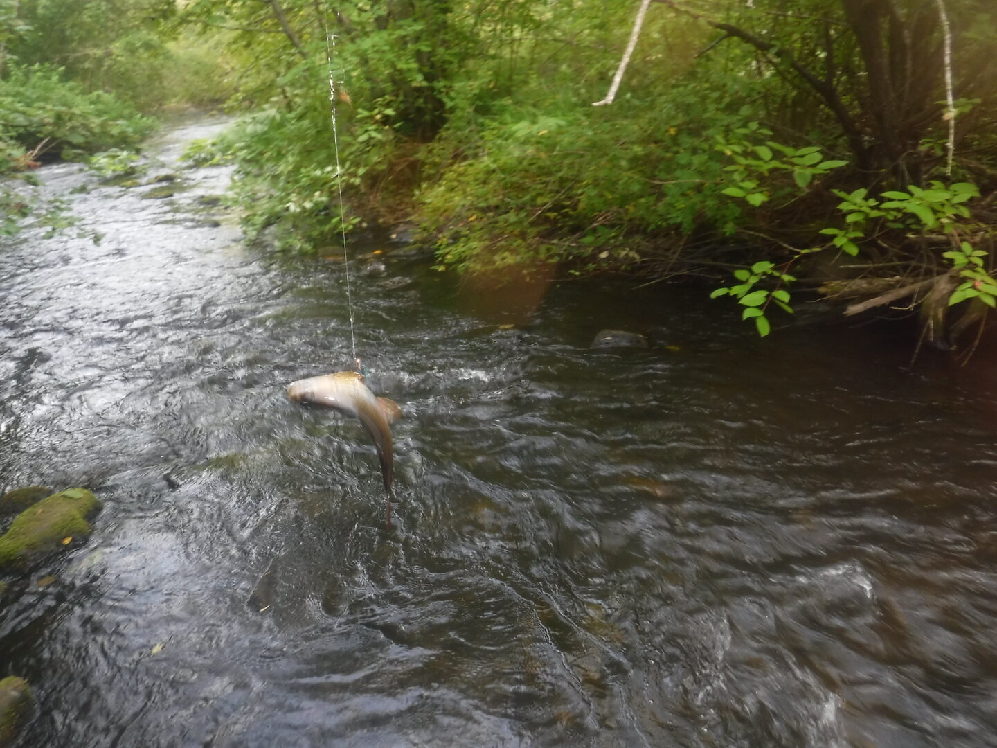 DSCF9597.JPG