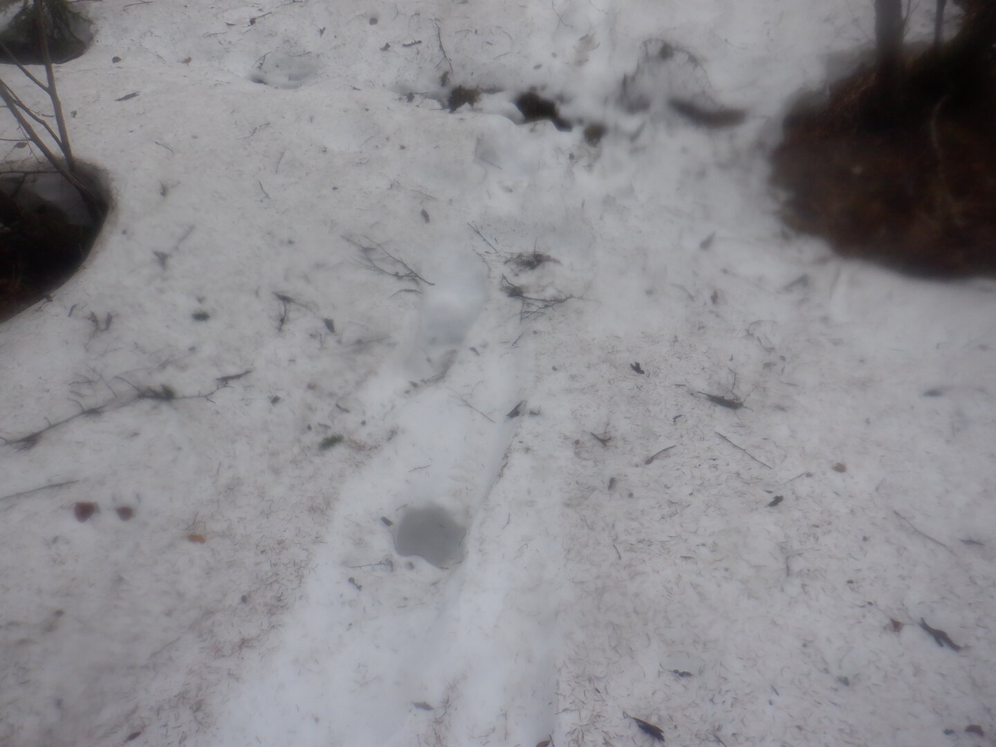 DSCF9600.JPG