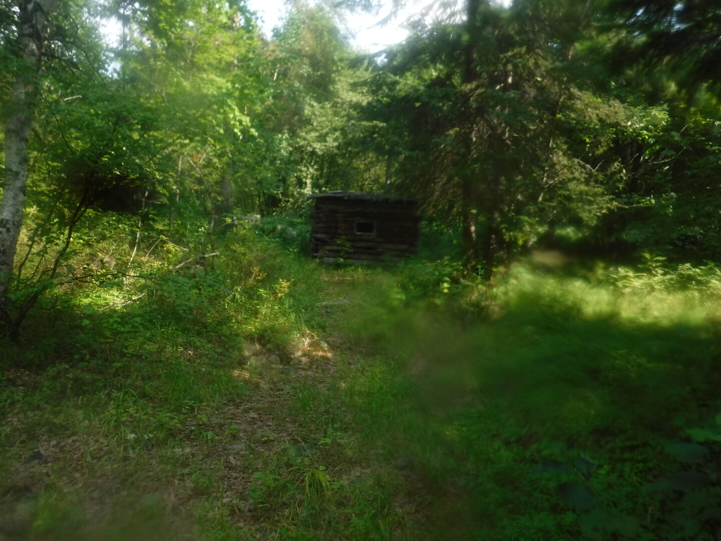DSCF9601.JPG