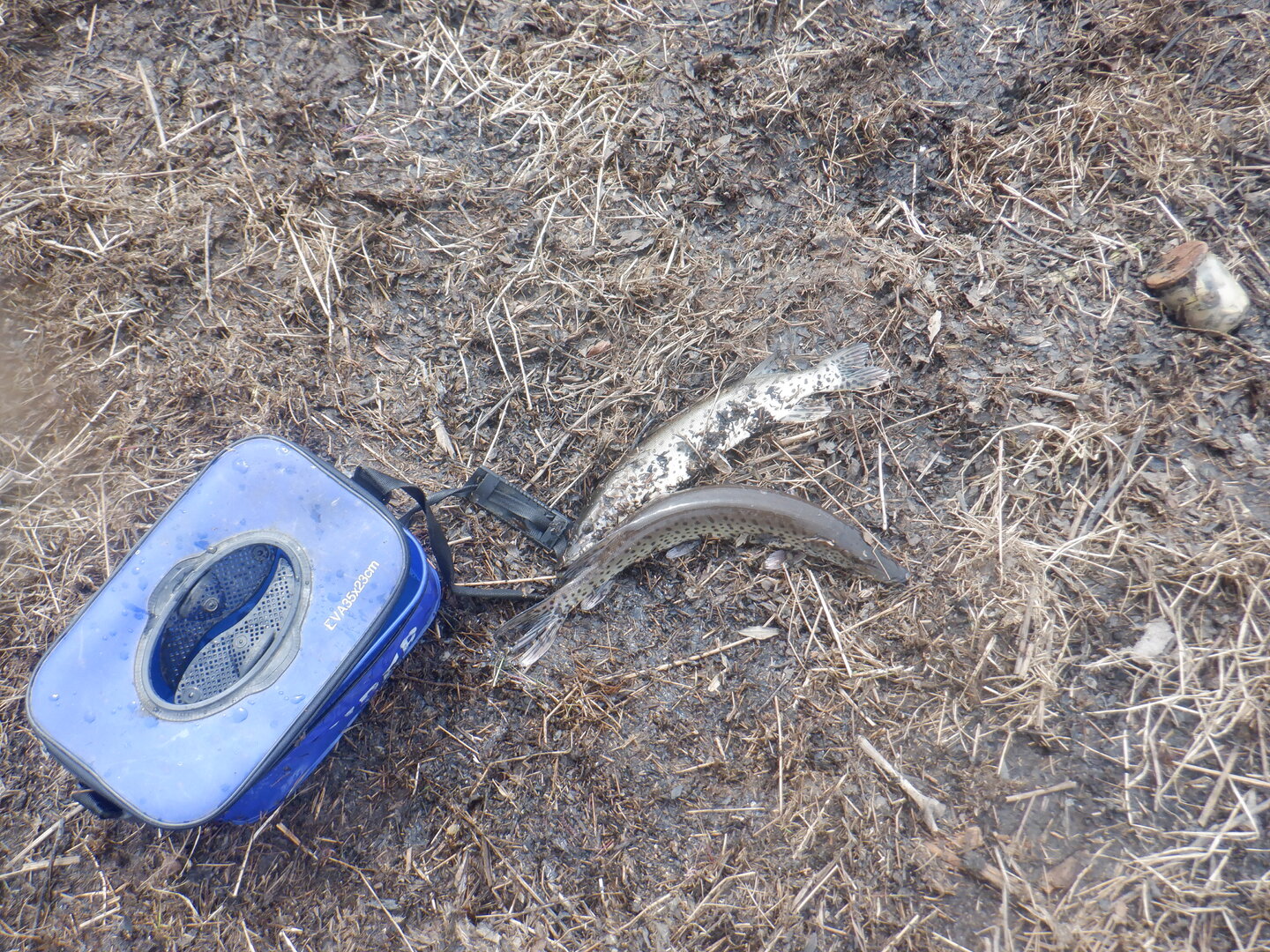 DSCF9616.JPG