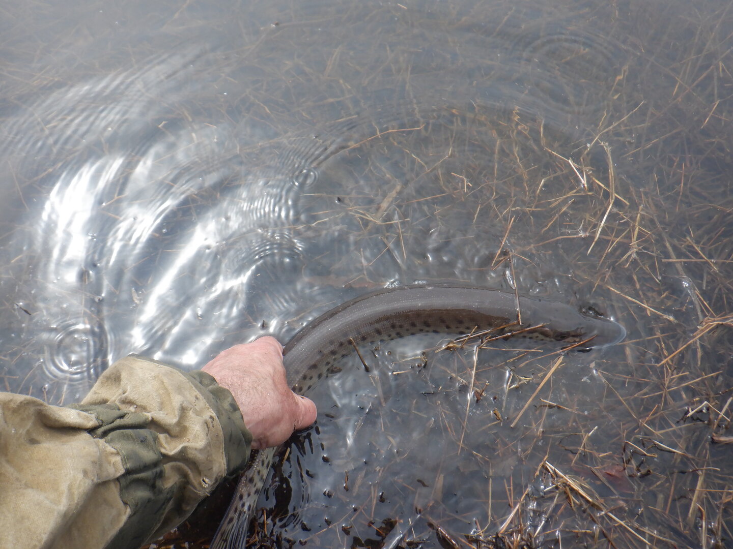 DSCF9617.JPG