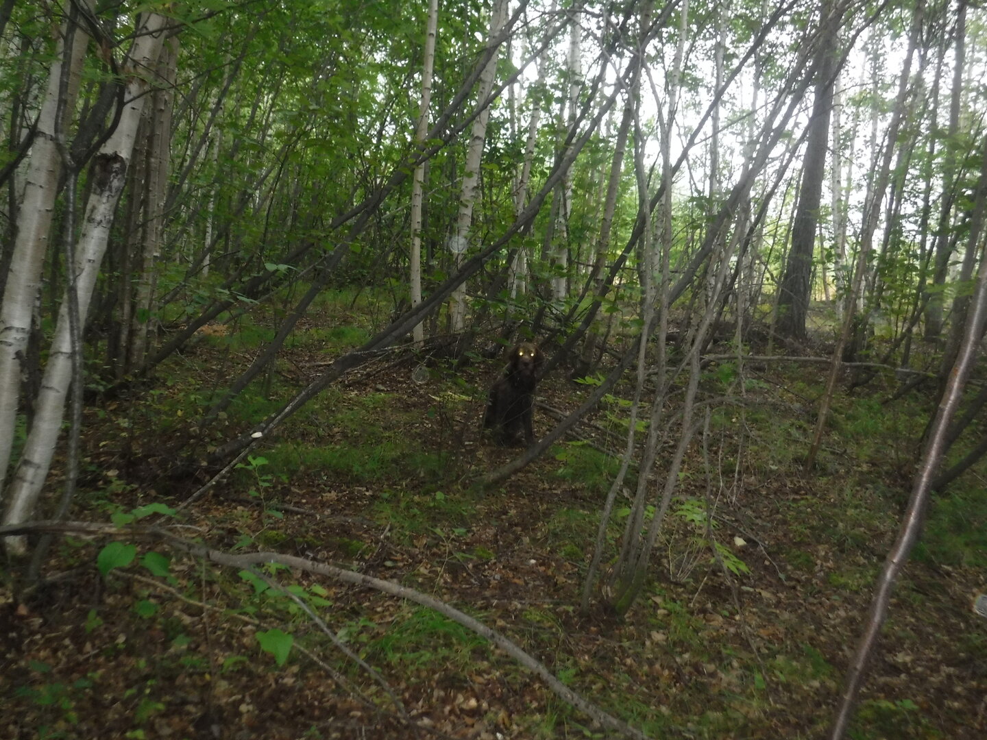 DSCF9632.JPG