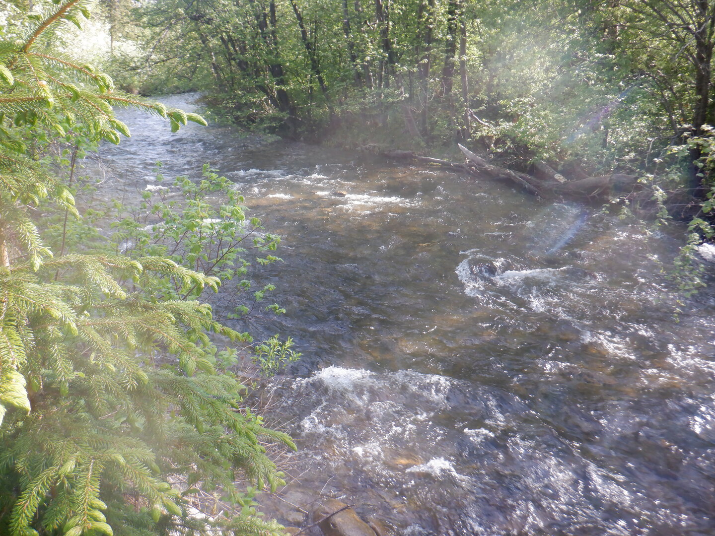 DSCF9636.JPG
