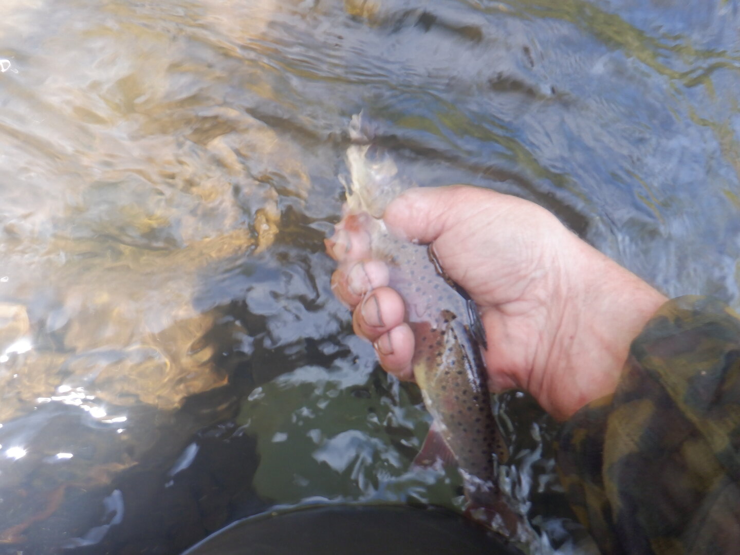 DSCF9654.JPG