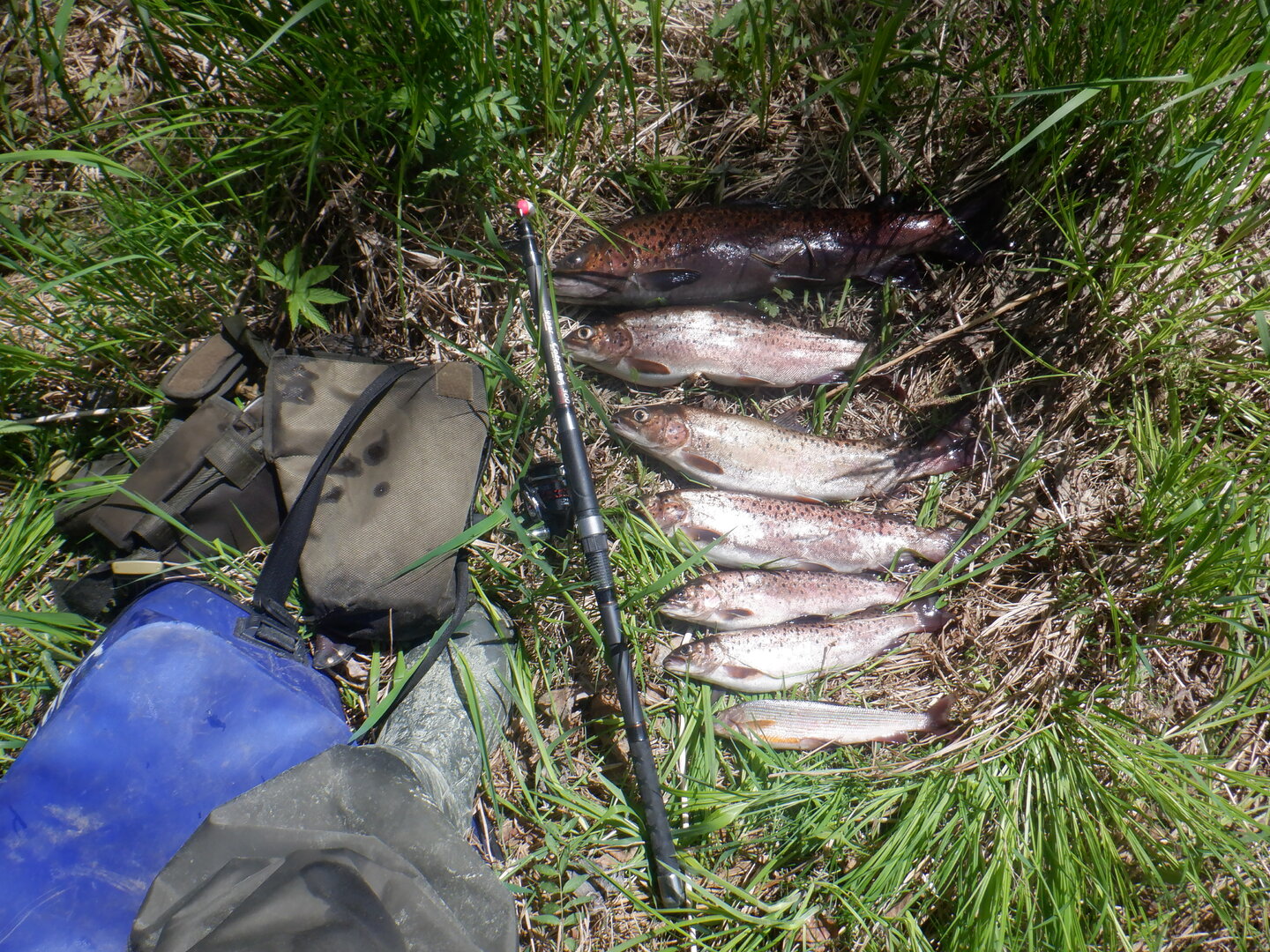 DSCF9665.JPG
