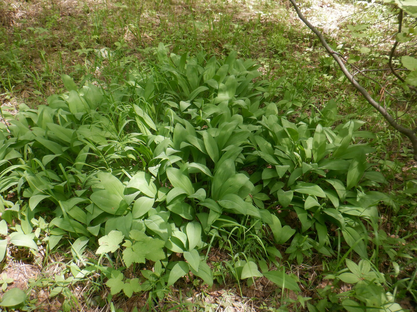 DSCF9671.JPG