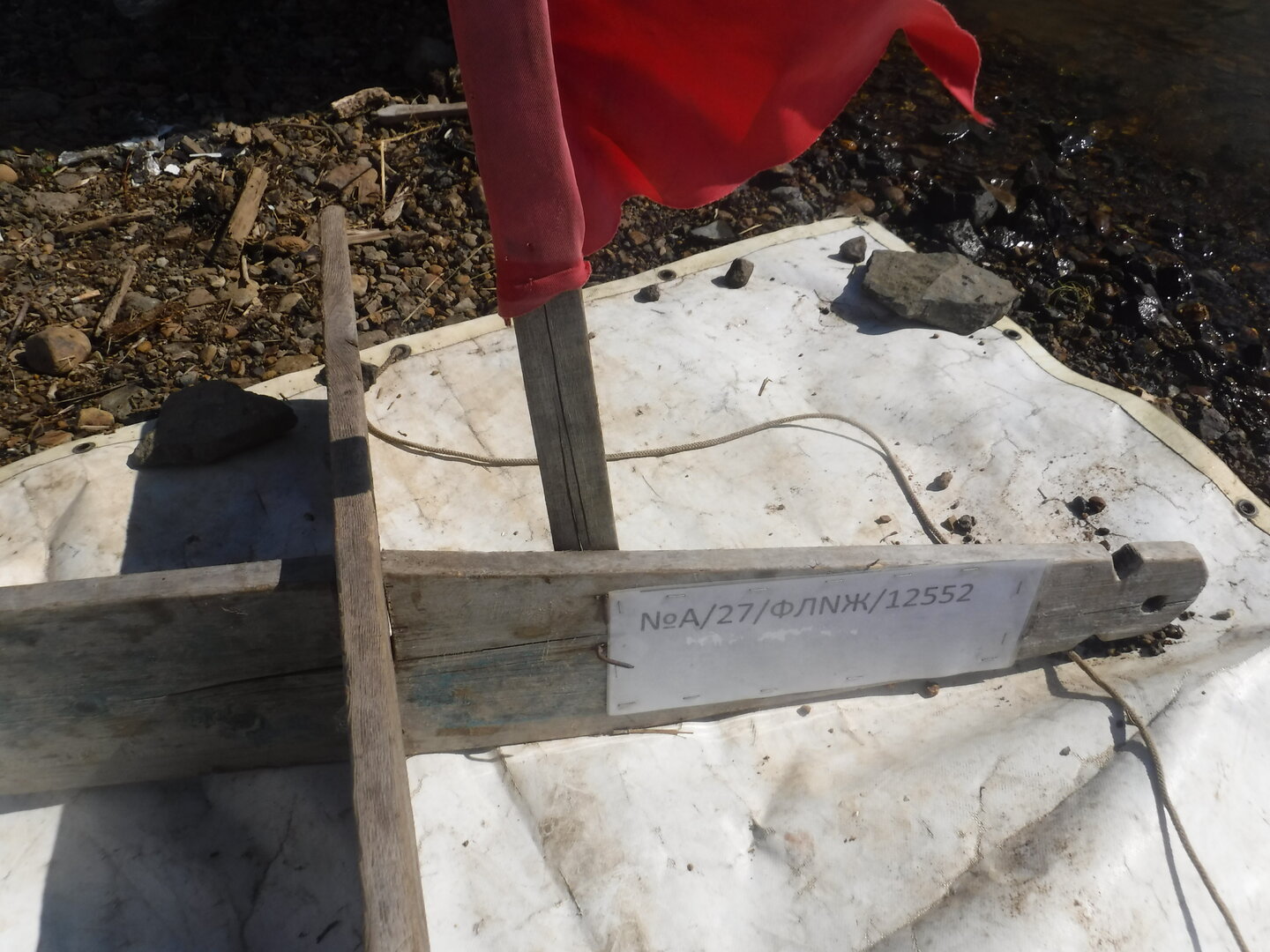DSCF9677.JPG