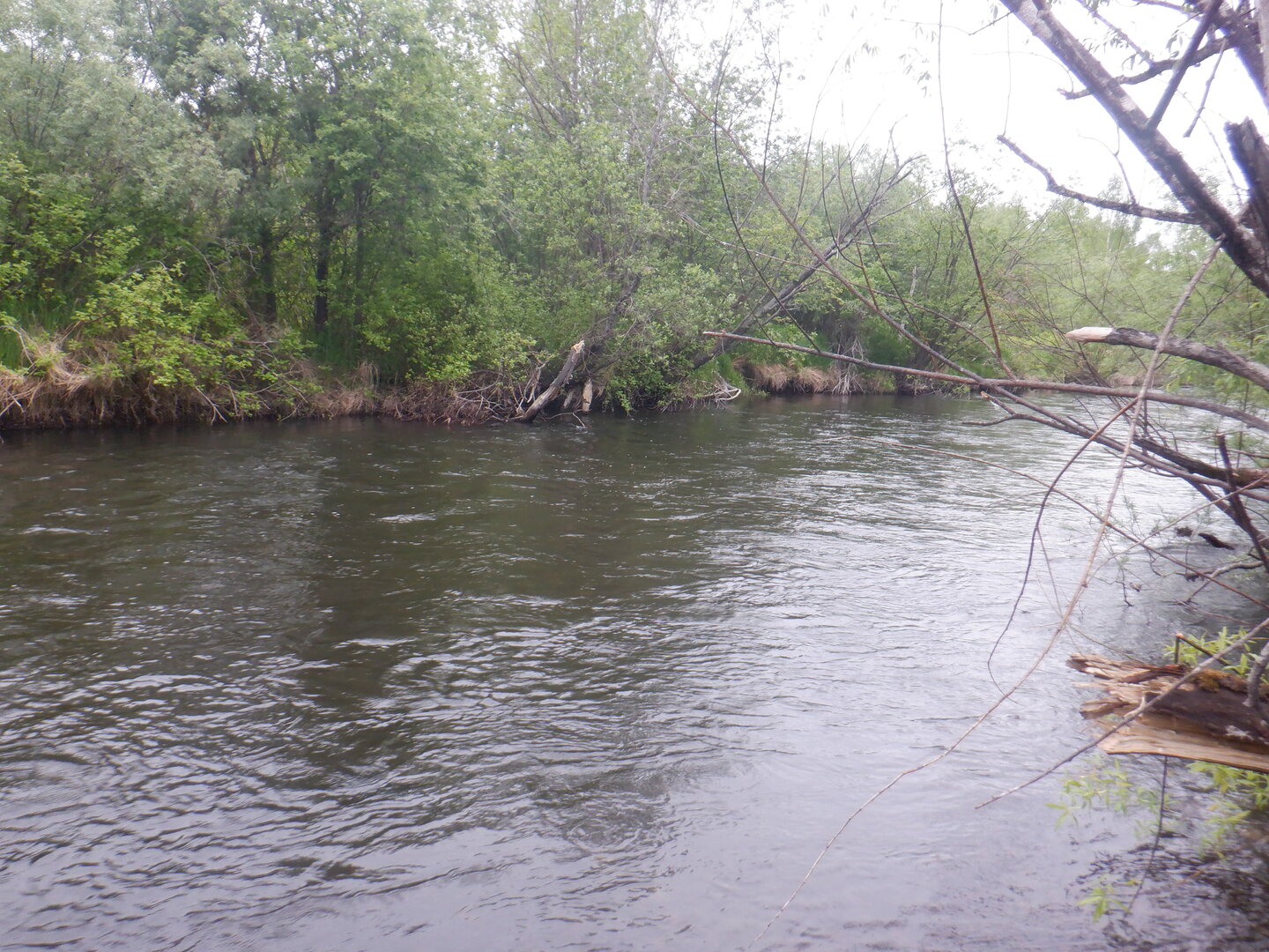 DSCF9692.JPG
