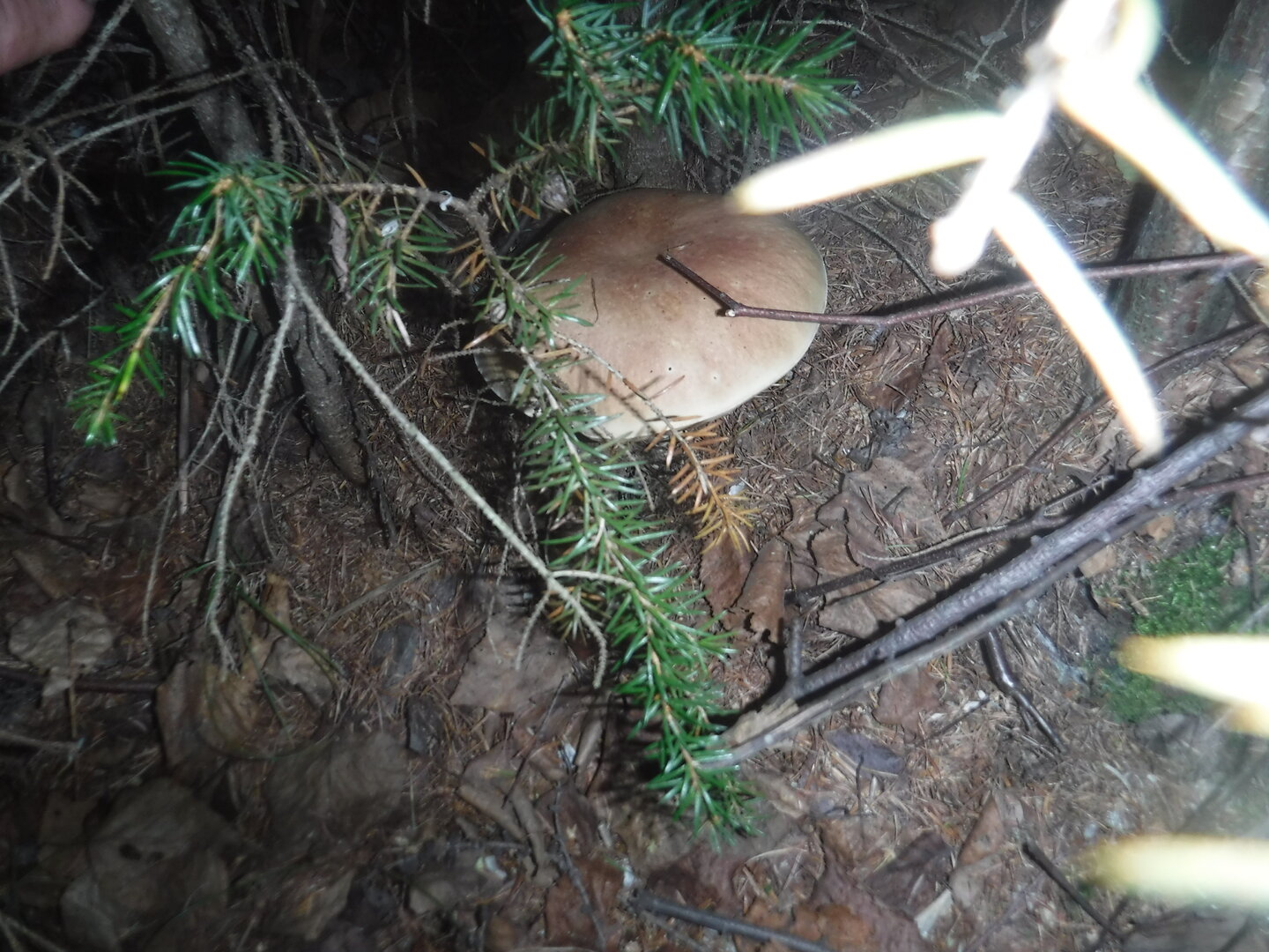 DSCF9693.JPG
