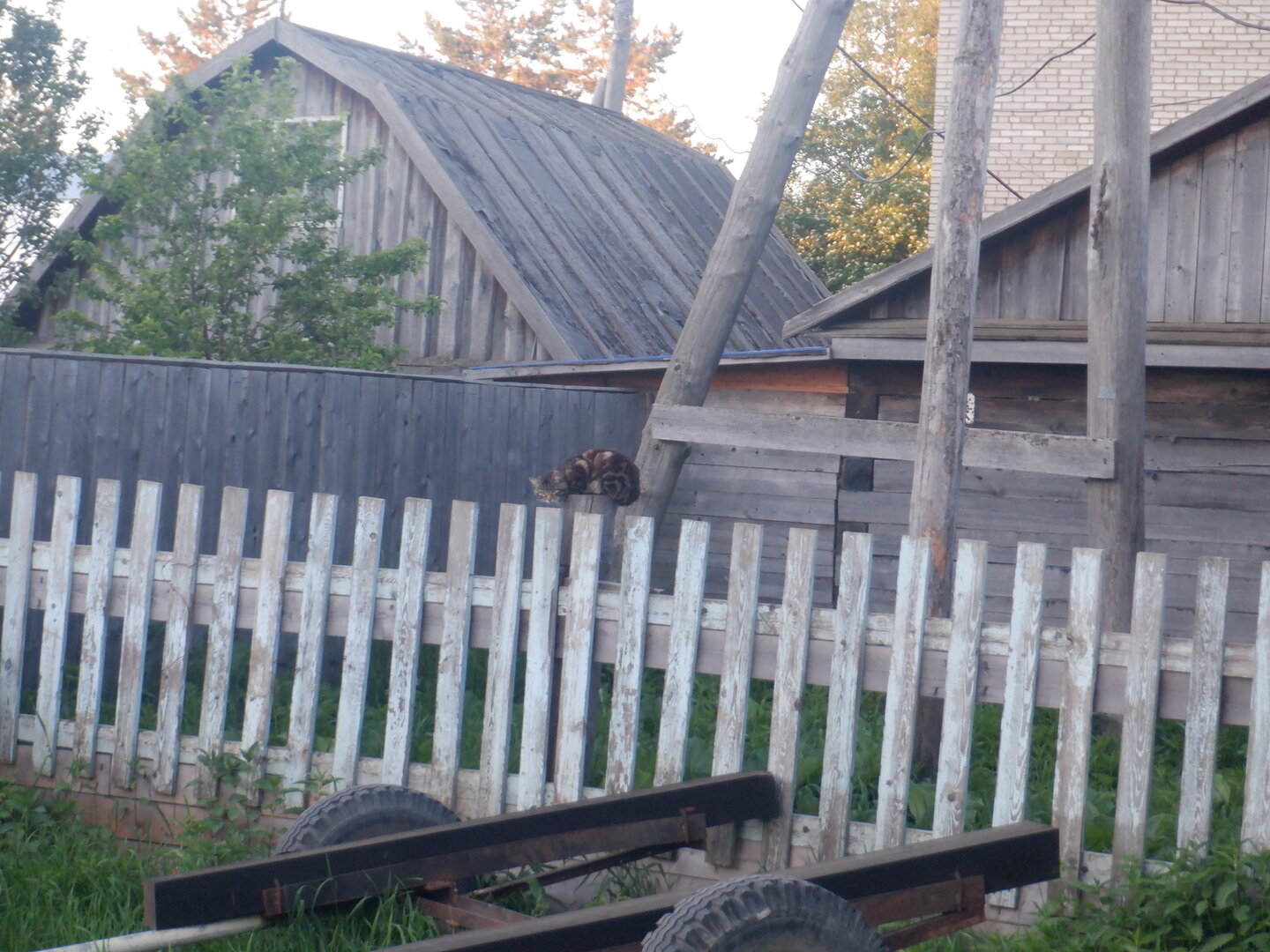 DSCF9707.JPG