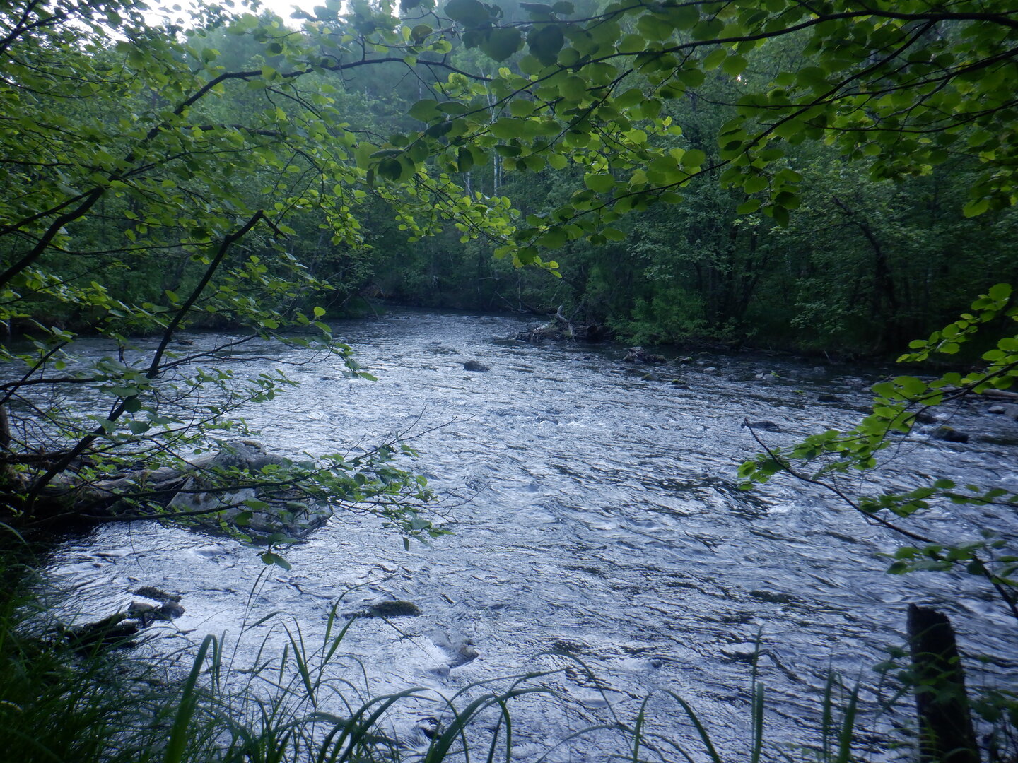 DSCF9710.JPG