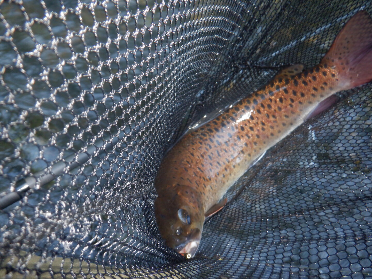 DSCF9711.JPG