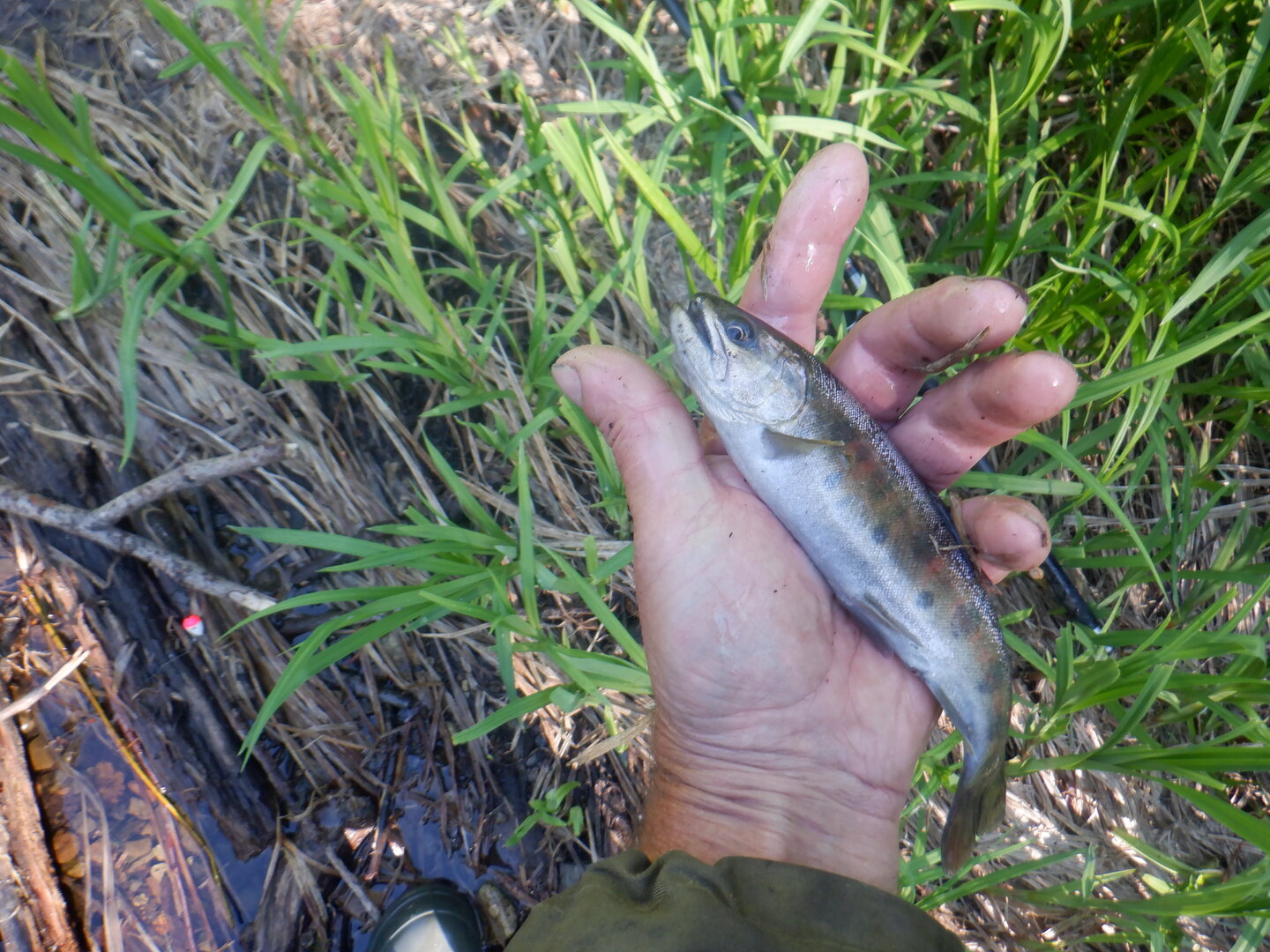 DSCF9716.JPG