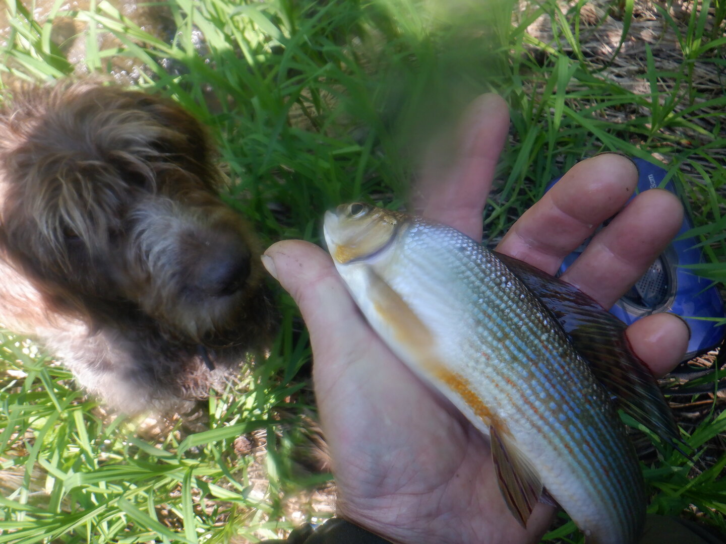 DSCF9719.JPG