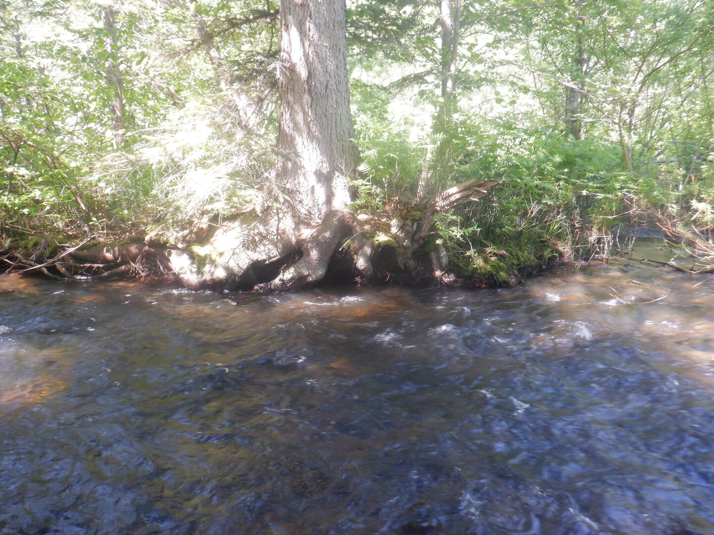 DSCF9721.JPG
