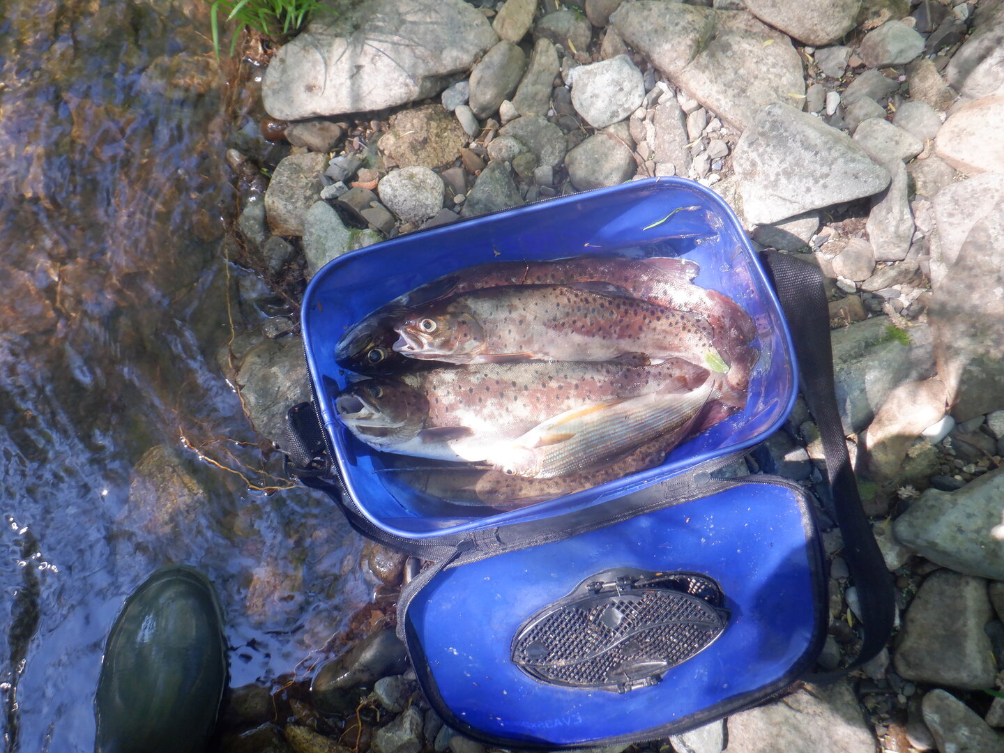 DSCF9723.JPG