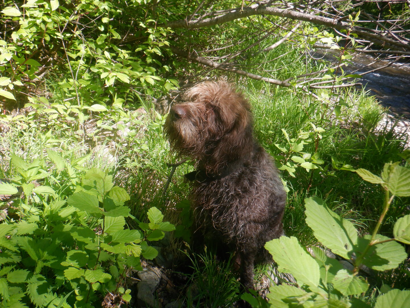 DSCF9724.JPG