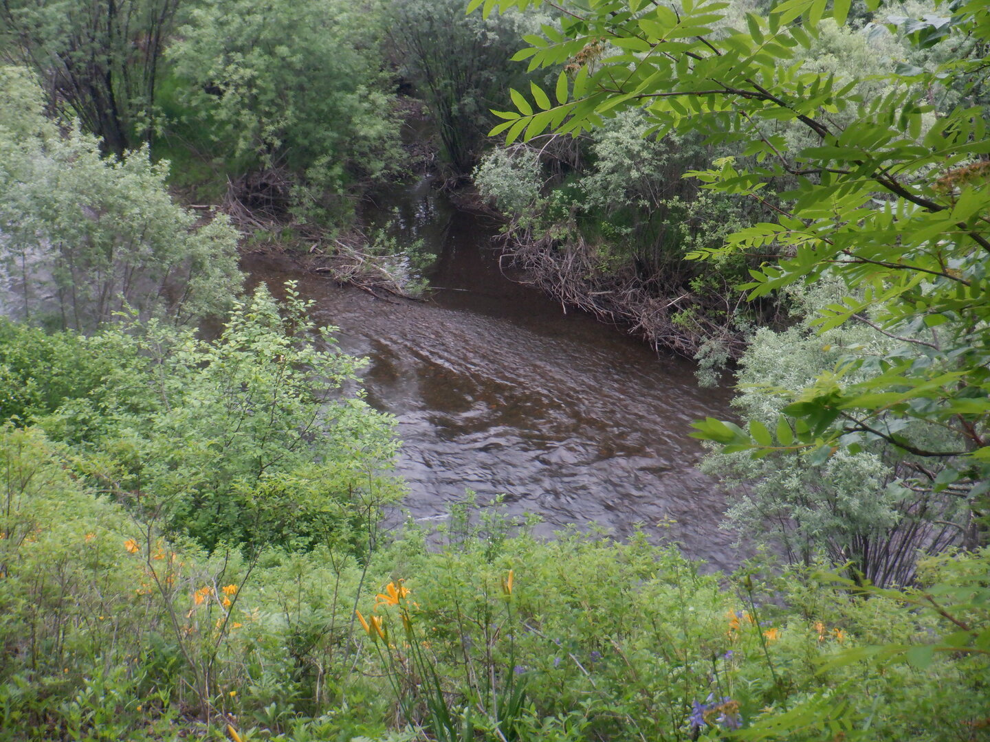 DSCF9732.JPG