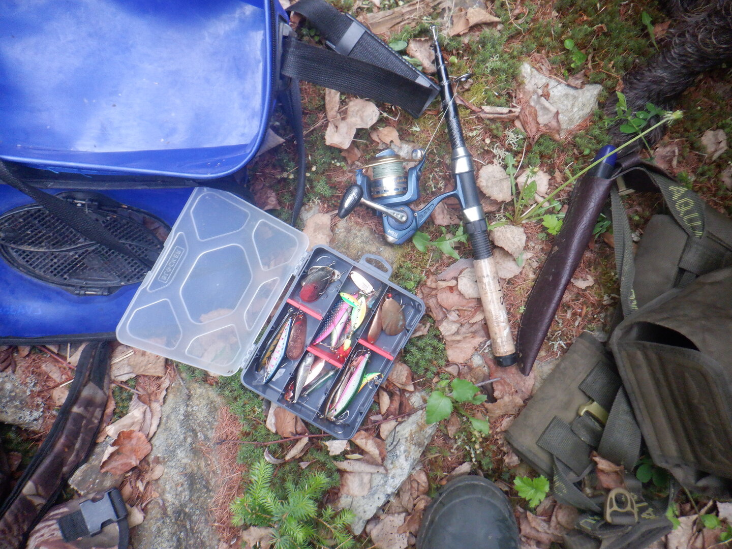 DSCF9737.JPG