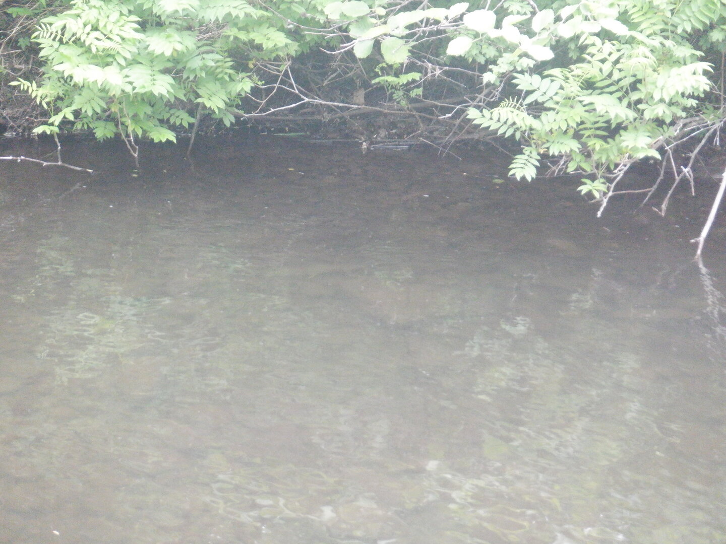 DSCF9741.JPG