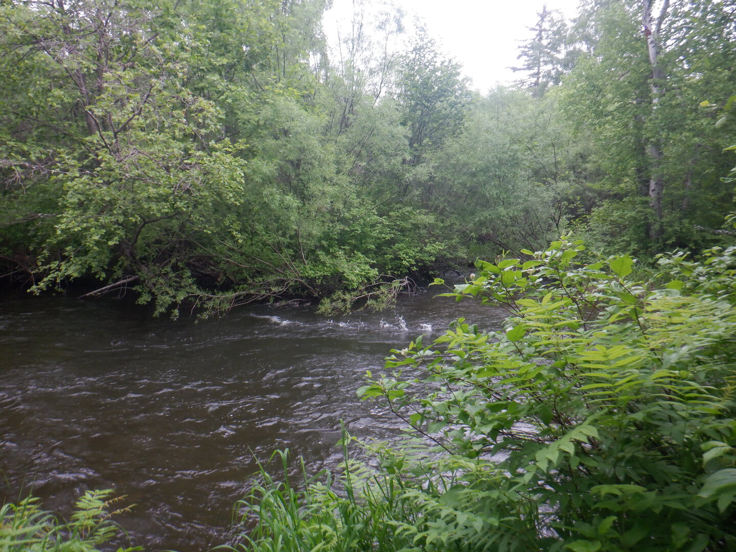 DSCF9744.JPG