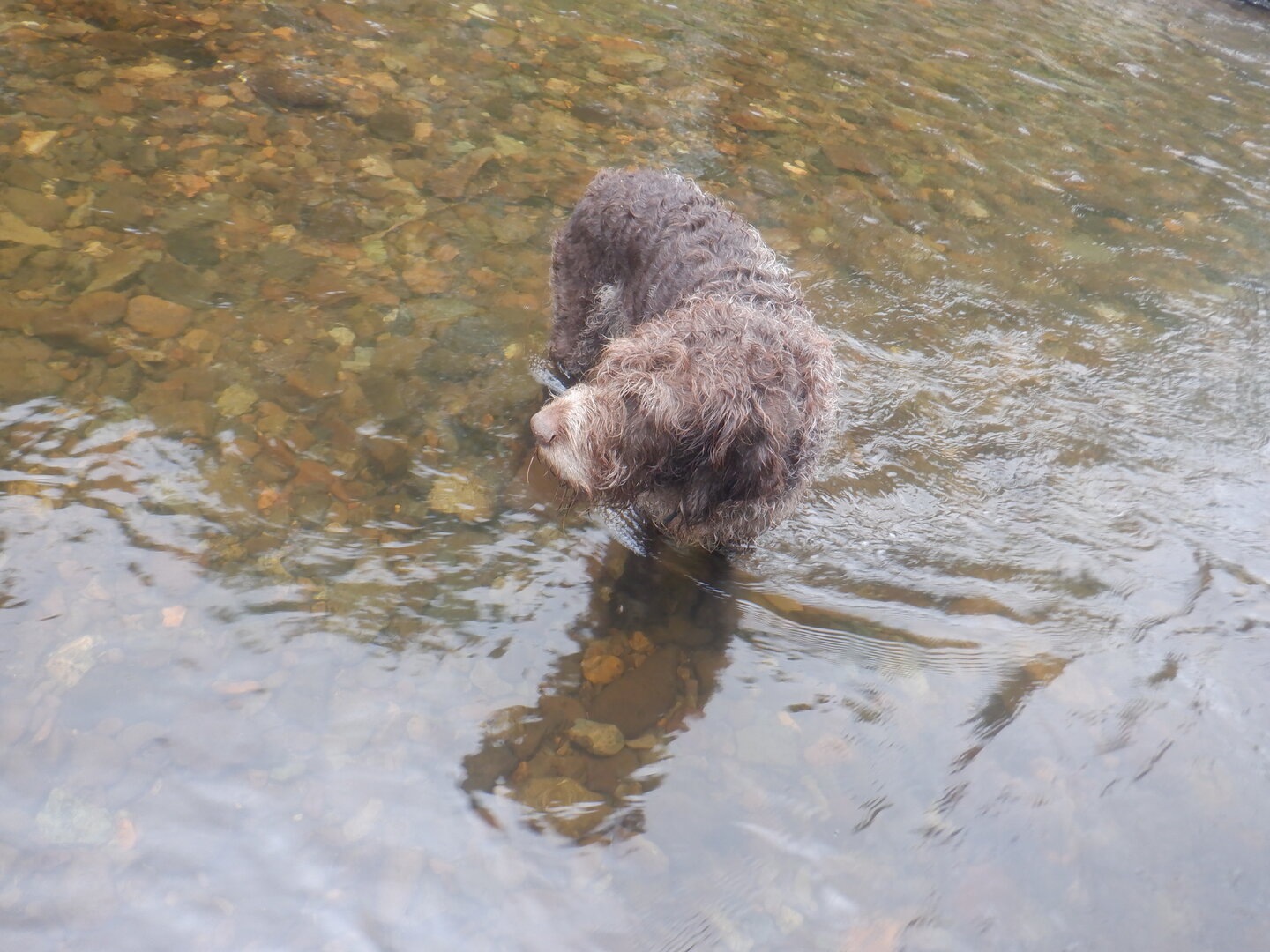 DSCF9752.JPG