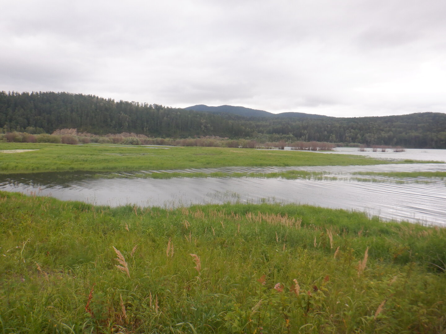 DSCF9786.JPG