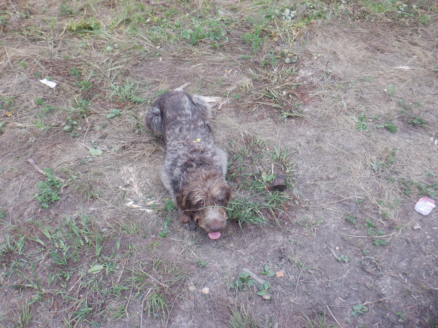 DSCF9787.JPG