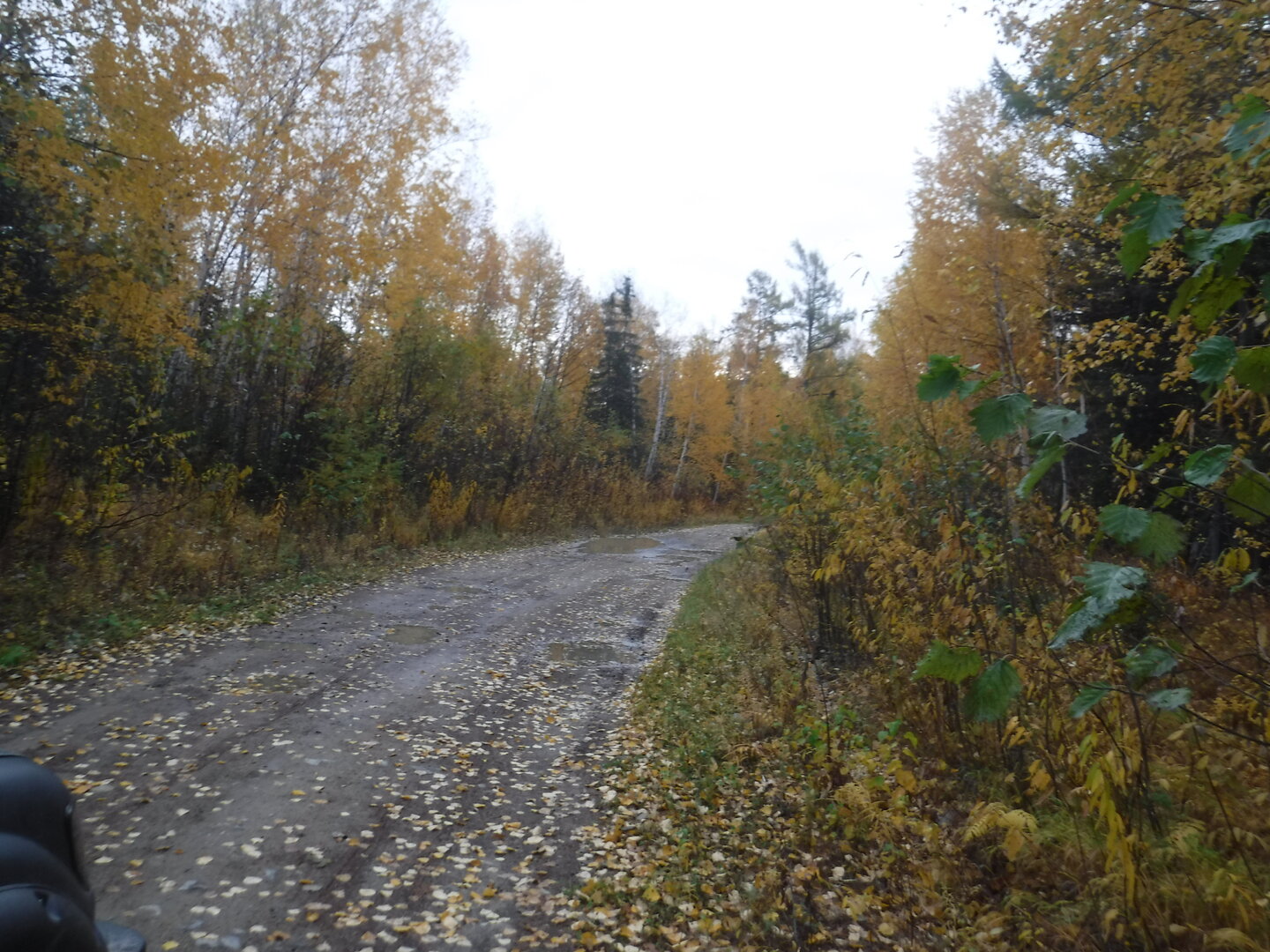 DSCF9787.JPG