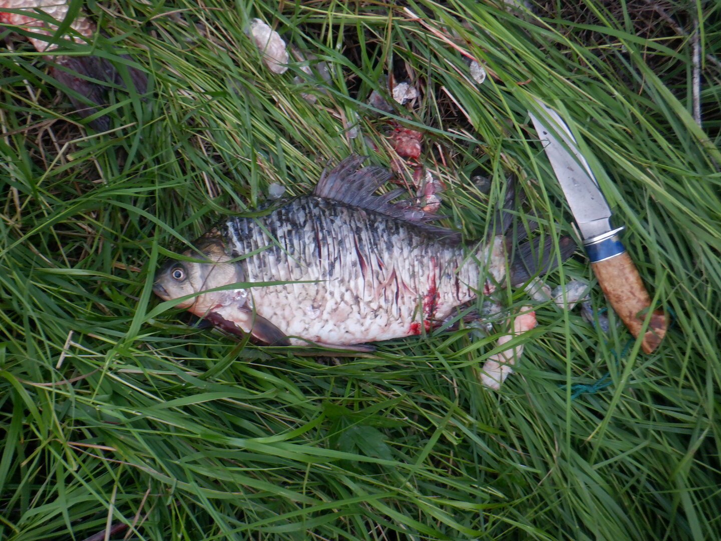 DSCF9789.JPG