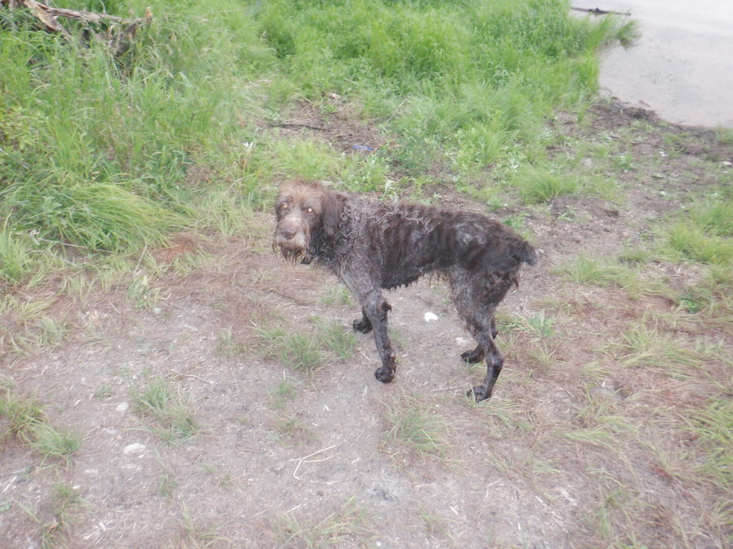 DSCF9790.JPG