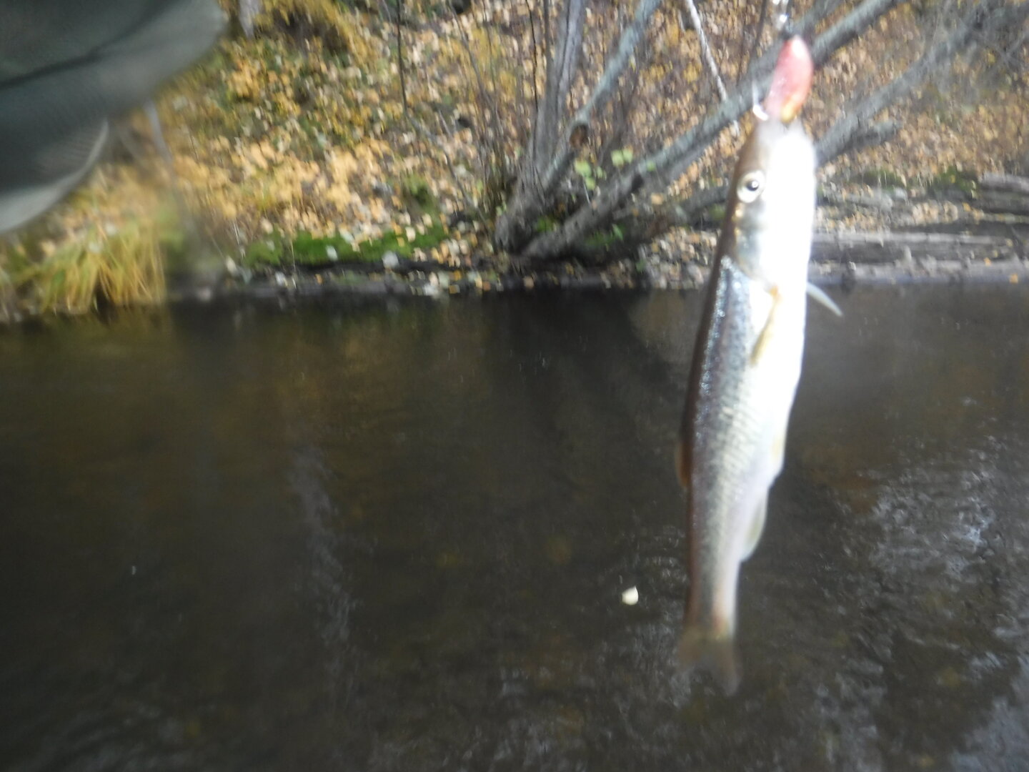 DSCF9791.JPG