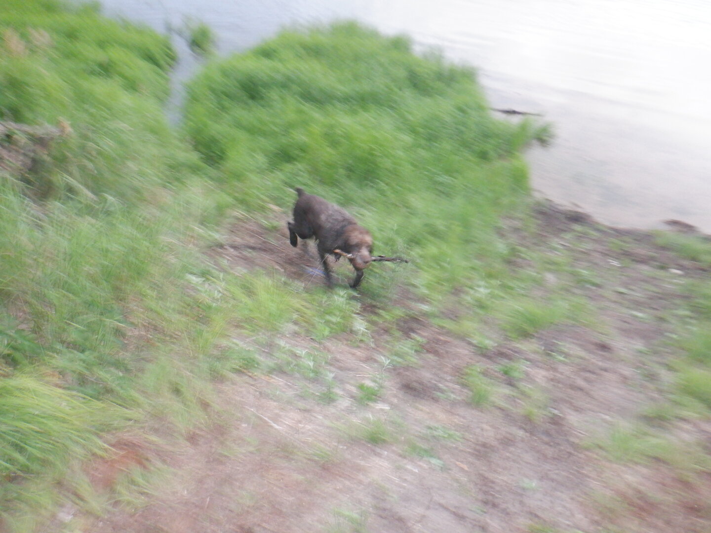 DSCF9794.JPG