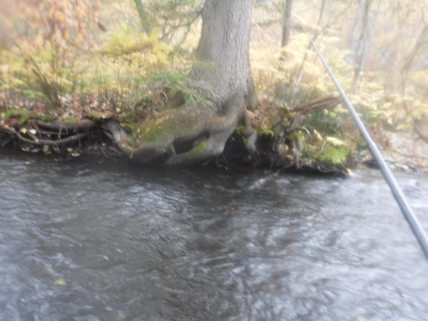 DSCF9795.JPG