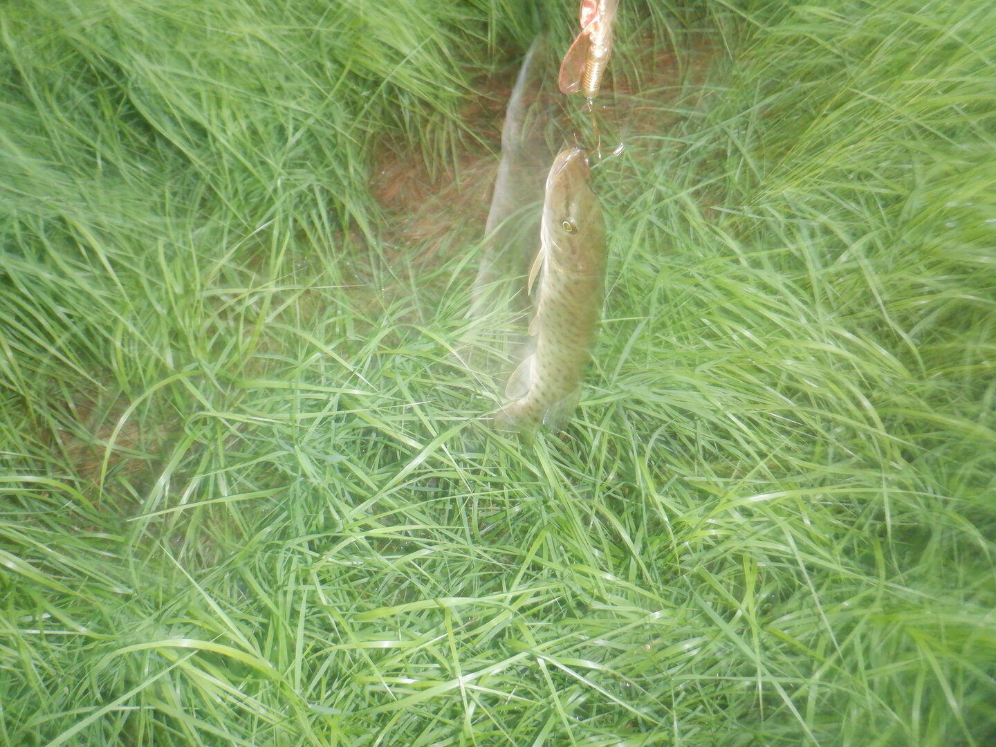 DSCF9798.JPG