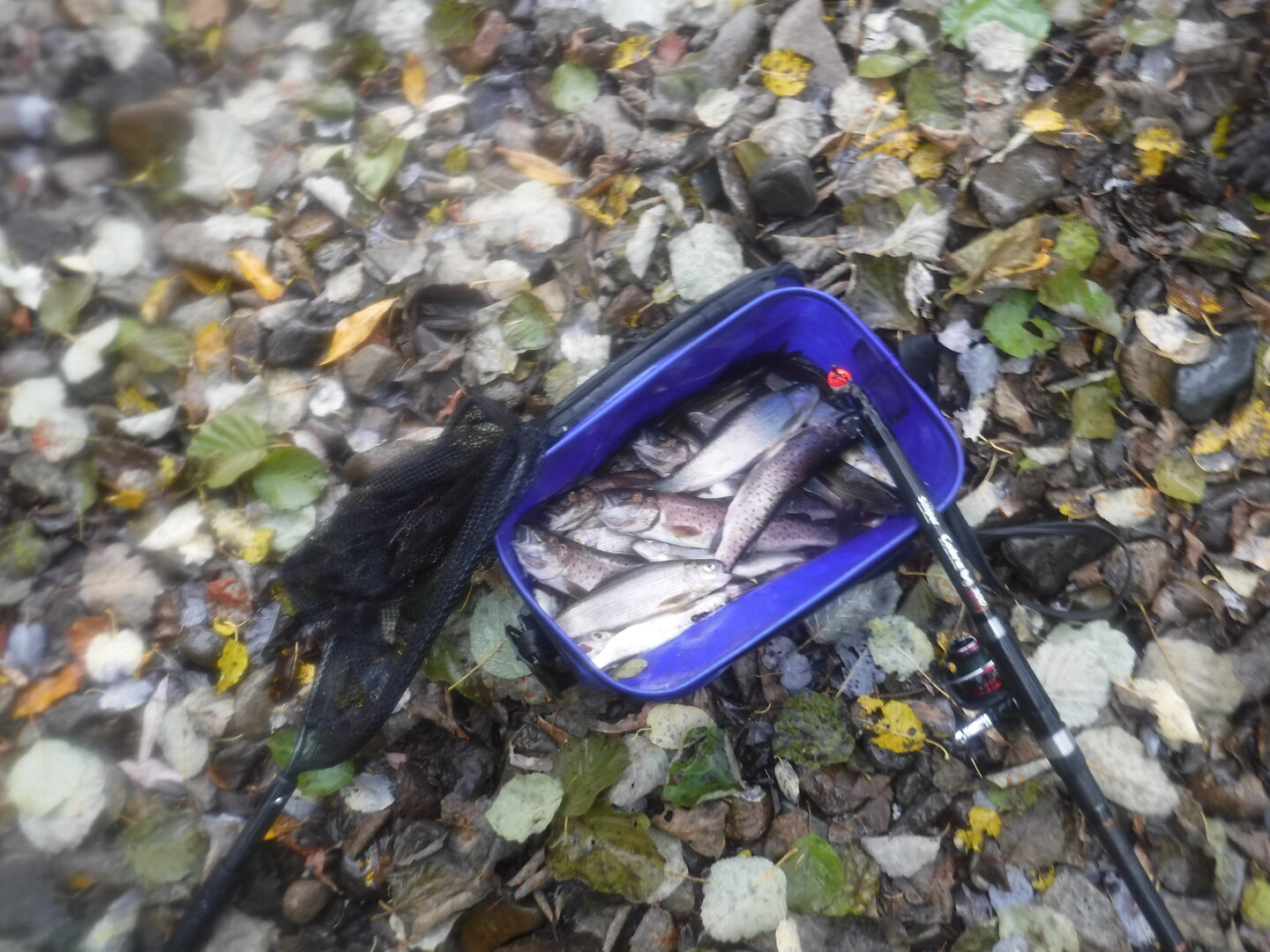 DSCF9799.JPG
