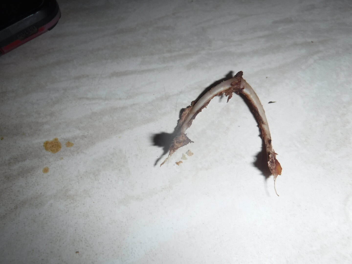 DSCF9821.JPG