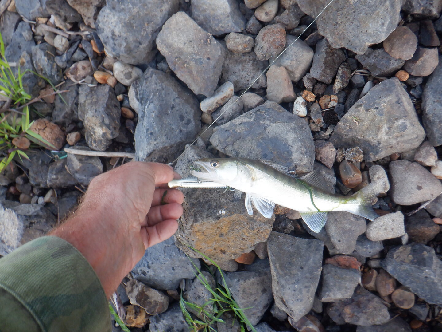 DSCF9824.JPG